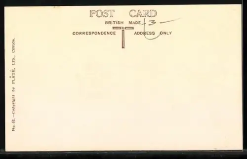 AK Ceylon, Tea Pluckers, Teepflückerinnen bei der Arbeit