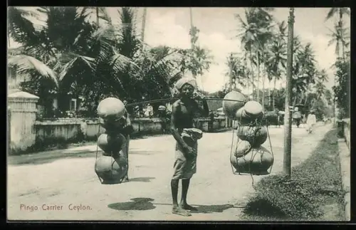 AK Indischer Pingo-Träger auf den Strassen der Insel Ceylon