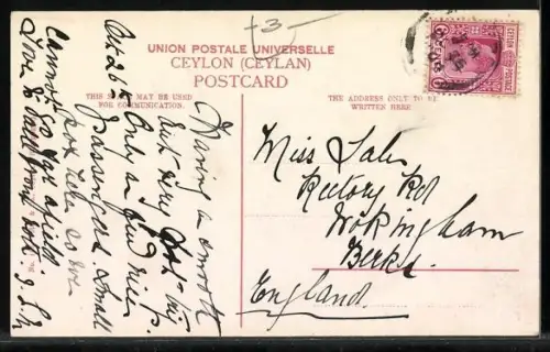 AK Indischer Pingo-Träger auf den Strassen der Insel Ceylon