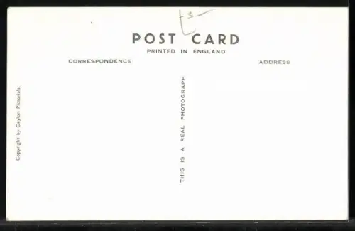 AK Colombo, Sinhalese Lady in a Rickshaw, Rikschaläufer