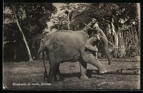 AK Ceylon-Sri Lanka, Elefant bei der Arbeit