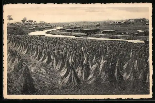 AK Het verbouwen van het vlas, La culture du lin, Flachsanbau