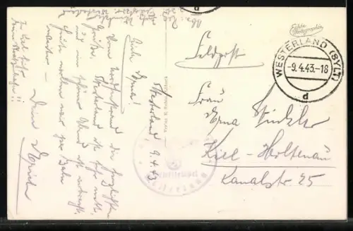 AK Kleine Möwe, flieg nach Helgoland, Möwen im Flug