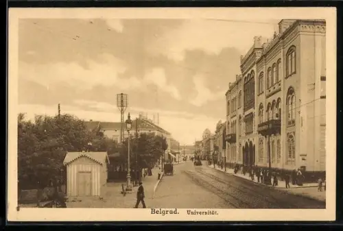 AK Belgrad, Universität
