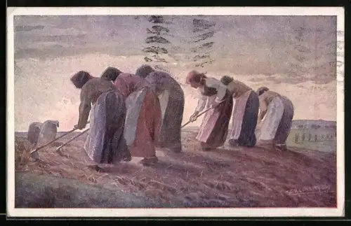 AK Rotes Kreuz Nr. 555: E. Reckziegel: Stilles Heldentum, Bäuerinnen bei der Feldarbeit