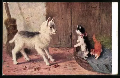 AK Katzenmutter verteidigt Junge gegen Lämmchen