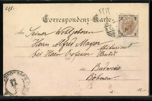 Lithographie Graz, Ortsansicht mit Uhrturm, verzierter Rahmen