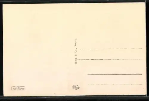 AK Elbing, Rathaus mit Erweiterungsgebäude