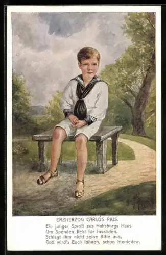 Künstler-AK Rotes Kreuz Nr. 21-1, Erzherzog Carlos Pius