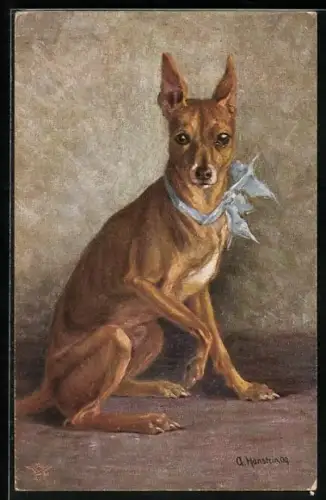 AK Zwerg-Windhund mit blauer Schleife