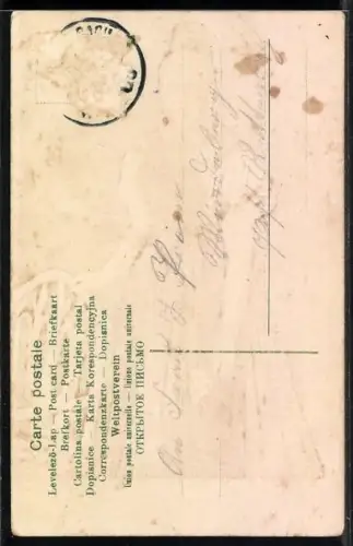 Präge-AK Junge Schwarzwälderin in Tracht