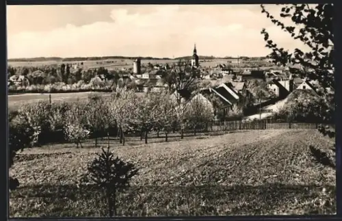 AK Triptis in Thür., Stadtansicht mit Kirche und Turm