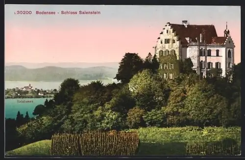 AK Salenstein /Bodensee, Schloss Salenstein, Blick auf Reichenau