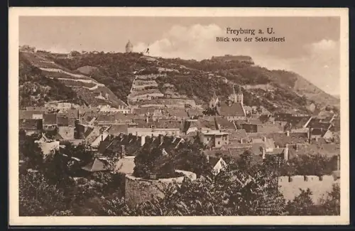 AK Freyburg a. U., Blick von der Sektkellerei