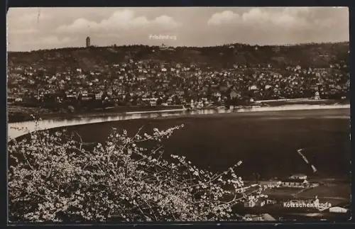 AK Kötzschenbroda, Teilansicht mit Friedensburg