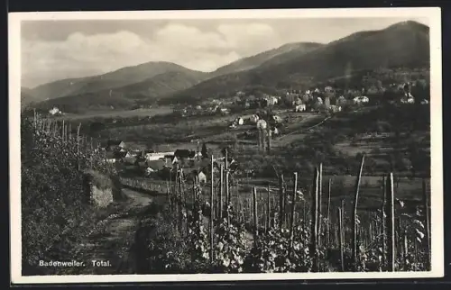 AK Badenweiler, Totalansicht mit Weinbergen und Schwarzwald