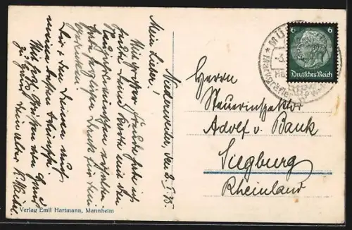 AK Badenweiler, Totalansicht mit Weinbergen und Schwarzwald