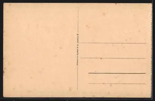 AK Modlin /Nowo-Georgiewsk, Fortmauer mit Drahthindernissen