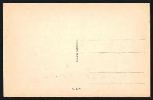 AK Przemysl, Ogólny widok