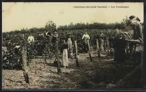 AK Château-du-Loir /Sarthe, Les Vendanges