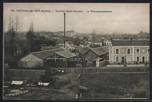 AK Château-du-Loir /Sarthe, Quartier Saint-Sauveur, La Champignonnerie