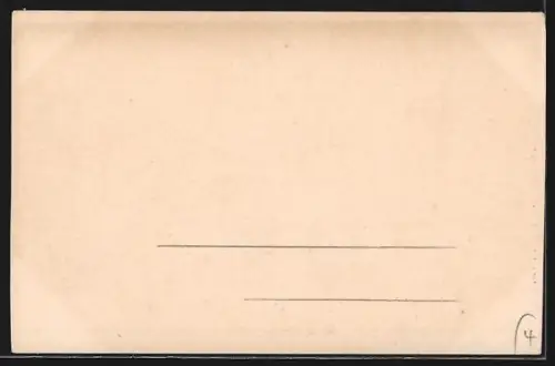 AK New York City, NY, The Circle Entrance to Central Park, Columbus Statue, Strassenbahn