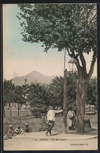 AK Batna, Pic des Cèdres