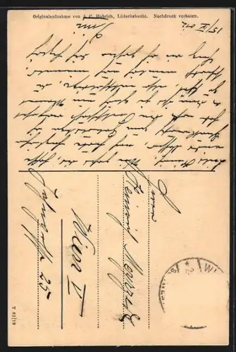 AK Windhuk, im Gouvernements-Garten, Kolonial gelaufen