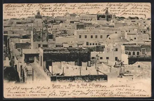 AK Tunis, Vue á Vol d`Oiseay