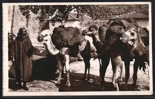 AK Bizerte, Marchand de Charbon