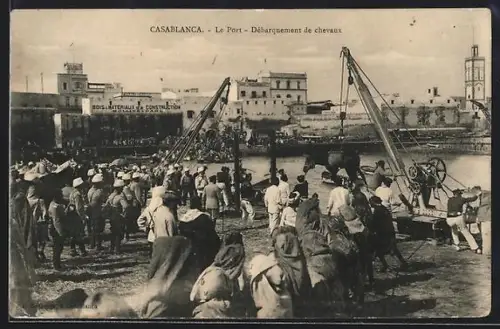 AK Casablanca, Le Port, Débarquement de chevaux