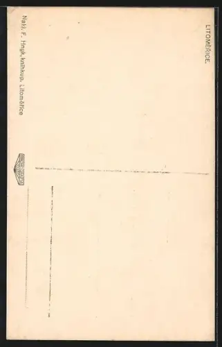 AK Litomerice, Ortspartie mit Geschäftshaus