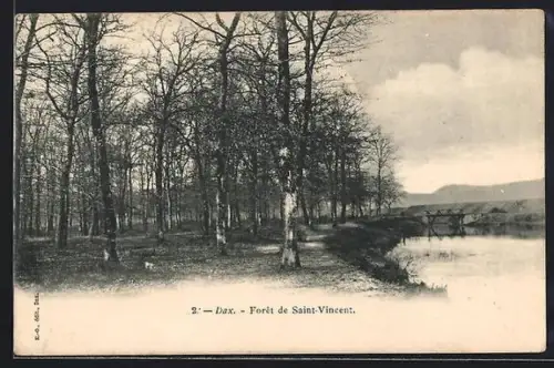 AK Dax, Forêt de Saint-Vincent et son étang paisible