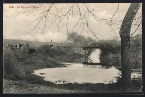 AK Dax, Les Digues de l`Adour avec vaches et pont en arrière-plan