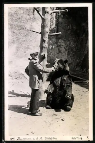 AK Krummau a. d. M., Der Schlossbär