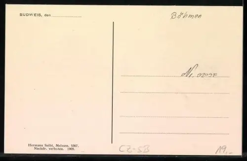 AK Budweis, Priestergasse mit Passanten