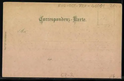 Lithographie Reichenberg / Liberec, Altstädter-Platz, Neustädter-Platz, Celkový pohled