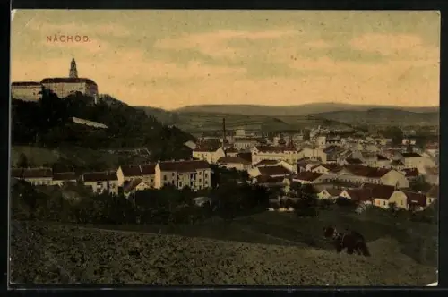 AK Nachod, Panorama mit Schloss