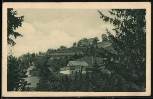 AK Hory Orlické, Horská bouda Panorama v Drísi
