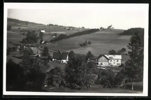 AK Jedlová /Orlické Hory, Panorama