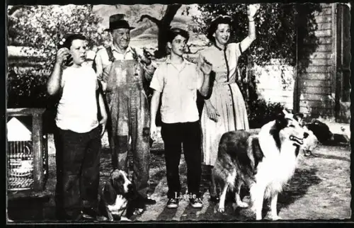 AK Filmszene aus Lassie