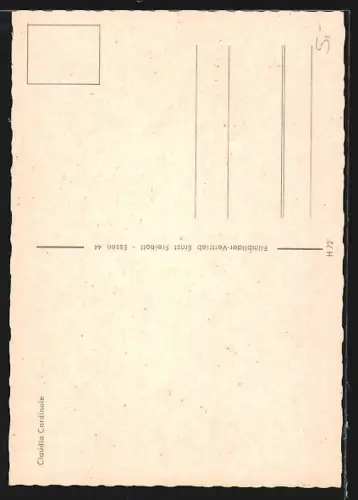 AK Claudia Cardinale mit unbekleidetem Oberkörper, Portrait