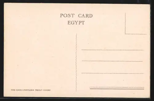 AK Cairo, General view