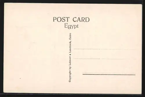 AK Mataria, The Virgin`s Tree