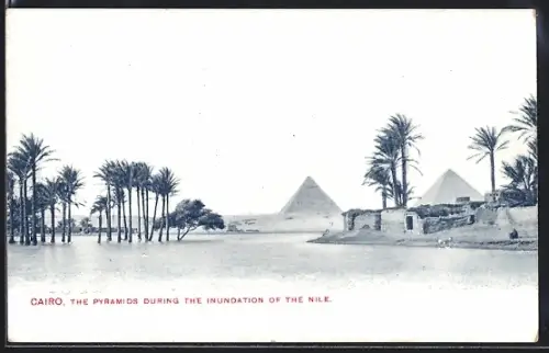 AK Cairo, The Pyramids During the Inundation of the Nile