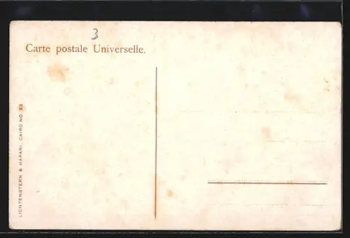 AK Edfou, generale view