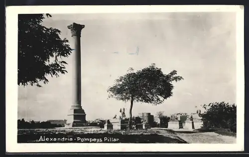 AK Alexandria, Pompeys Pillar