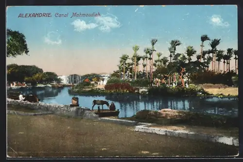 AK Alexandria, Canal Mahmoudieh