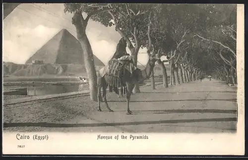 AK Cairo, Avenue of the Pyramids