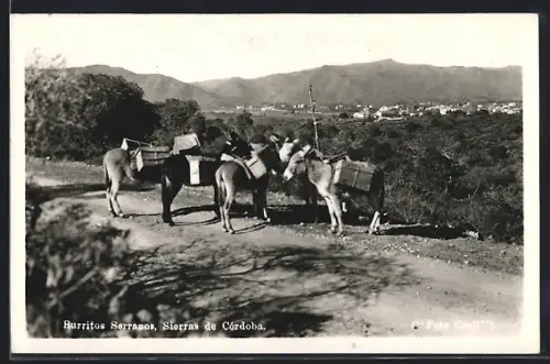 AK Sierras de Cordoba, Burritos Serranos